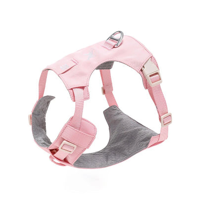 Ensemble Harnais et Laisse Assortis Anti-Traction Chien