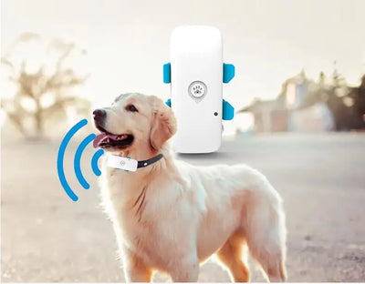 Traceur GPS Chien 4G Étanche Suivi Temps Réel