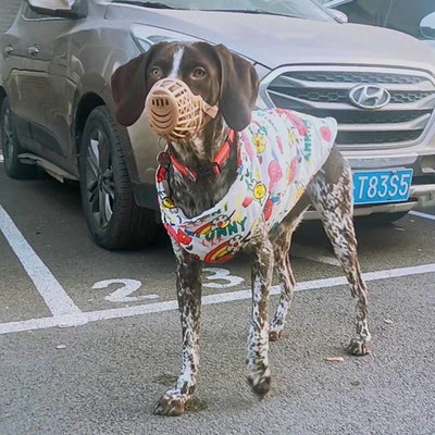 Veste Imperméable Boucle Traction Gros Chien