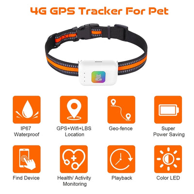 Traceur GPS 4G Chien Étanche IP67 LED et Podomètre