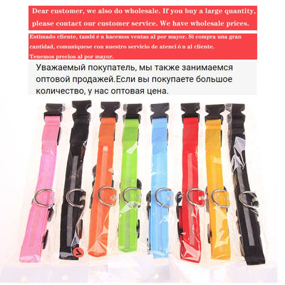 Collier Lumineux LED USB pour Chien