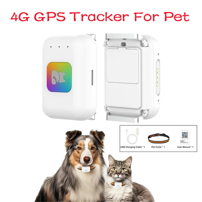 Traceur GPS 4G Chien Étanche IP67 LED et Podomètre