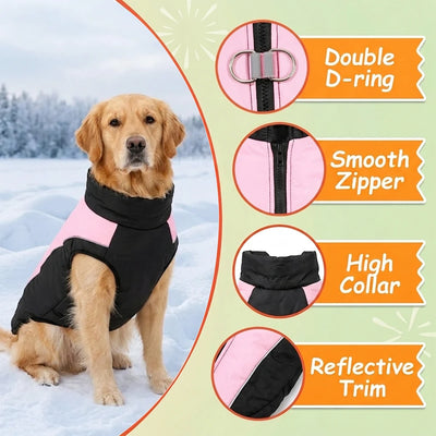 Manteau Chien Coupe-Vent Zippé Double Anneau Golden Retriever