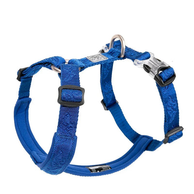 https://cdn.shopify.com/s/files/1/0489/2898/1148/files/S955fd37627a24c63a9bfe15a4e644b5av.webp?v=1742985590