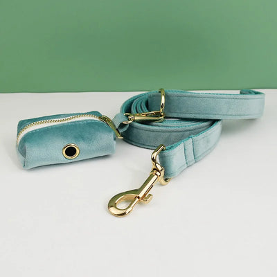 Collier et Laisse Velours Vert Plaque Gravée Chien