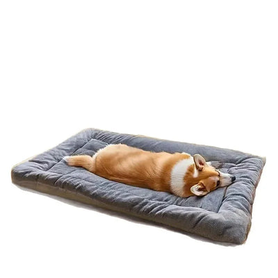 Tapis de Couchage Gris pour Golden Retriever, Hiver Double Face