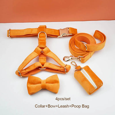 Collier et Laisse Velours Orange Personnalisé Chien