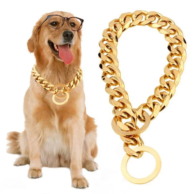 Collier Chaîne Gourmette Dorée Bouledogue Pitbull 25 à 76 cm