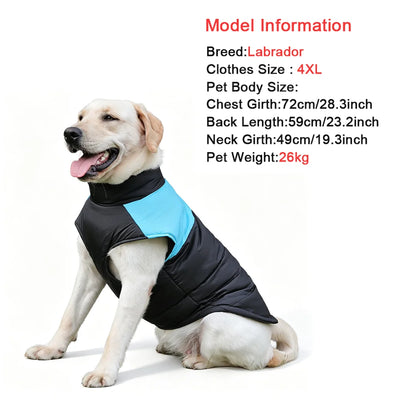 Manteau Doudoune Chien Coupe-Vent Anneau en D Labrador