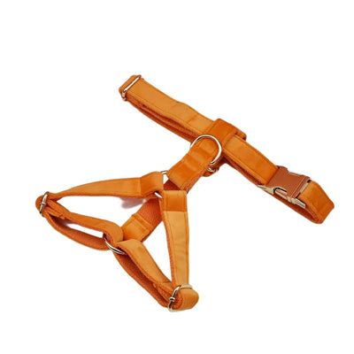 Collier et Laisse Velours Orange Personnalisé Chien