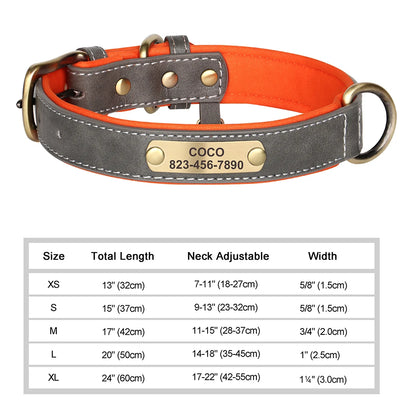 Medaille Collier Cuir Gravee Personnalise Chien