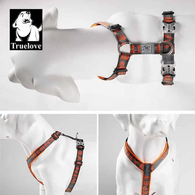 https://cdn.shopify.com/s/files/1/0489/2898/1148/files/S9681ae47910940a7952cf082a692a965L.webp?v=1742985607