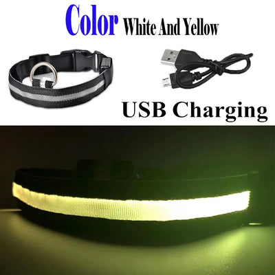 Collier Lumineux LED USB pour Chien