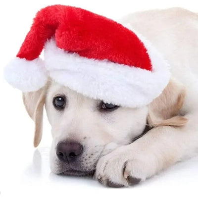 Chapeau de Père Noël Moelleux pour Chien