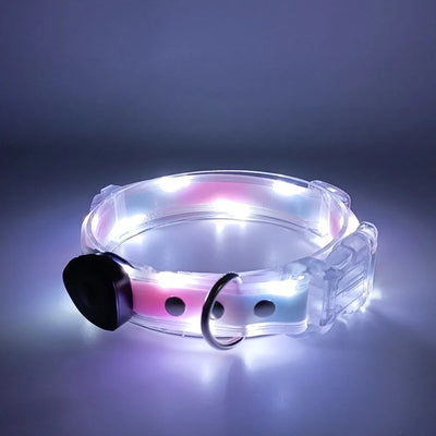 Collier et Laisse LED Lumineux pour Chien