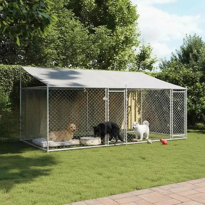 Enclos Chien Extérieur 4x2x2 m Acier Galvanisé avec Toit