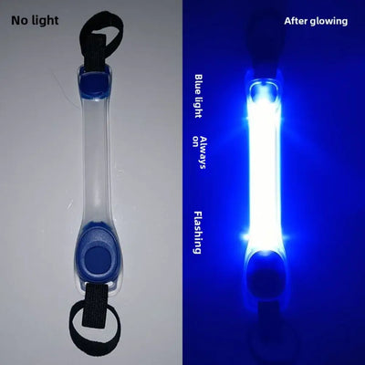 Collier Lumineux Étanche Anti-Perte pour Chien