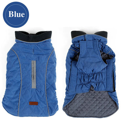 Manteau Hiver Réfléchissant Bull Terrier Six Coloris XS-3XL