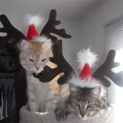 Accessoires de Noel pour Chien Renne