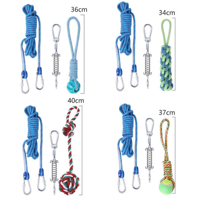 Spring Pole pour Gros Chien avec Ressort Inox et Corde