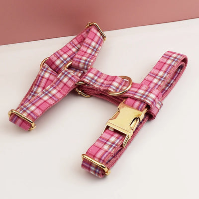 Ensemble Collier Harnais Laisse Carreaux Gravé Chien