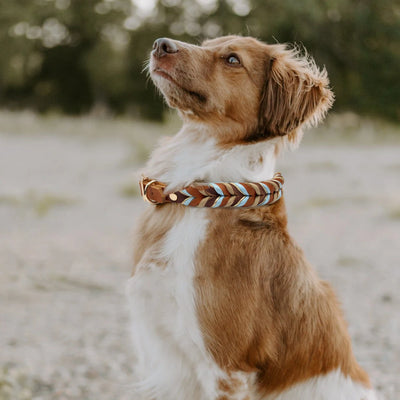 Collier Cuir Véritable Tressé Bleu Ciel Chien Moyen Grand