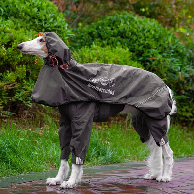 Manteau Imperméable Combinaison Intégrale Grand Chien Réfléchissant