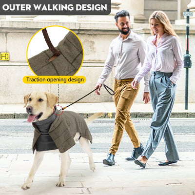 Manteau Imperméable Carreaux Gros Chien Hiver