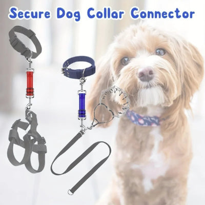 Collier Chien Réfléchissant Sécurité Clip 360°