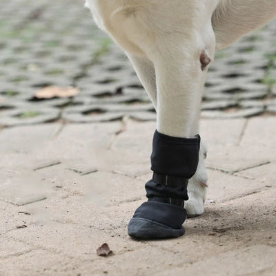 Botte Récupération Pattes Gros Chien Imperméable