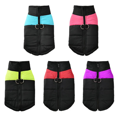 Manteau Doudoune Chien Coupe-Vent Anneau en D Labrador