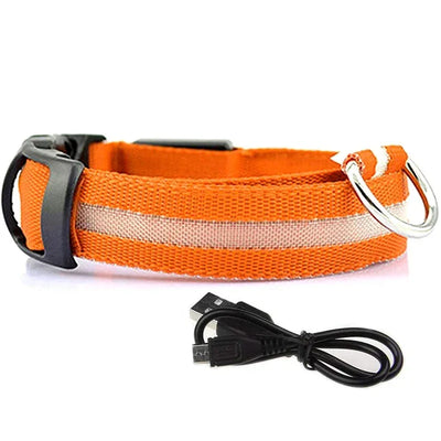 Collier LED Veilleuse Rechargeable pour Chien
