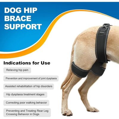 Orthèse Hanche Gros Chien Dysplasie Support