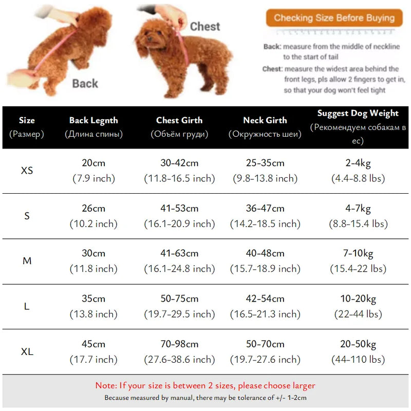Gillet flotteur chien