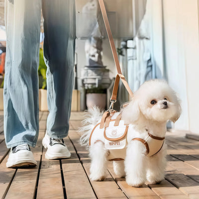 Harnais de Soutien Sacoche à Poignée Petit Chien 10 kg