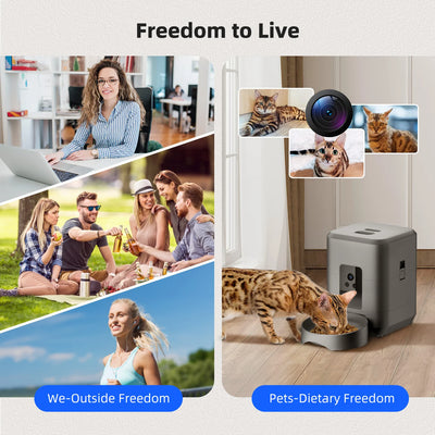 Distributeur Croquettes Chien Connecté Caméra Interphone Programmable