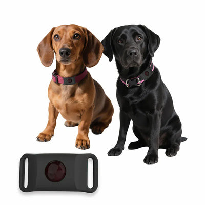 https://cdn.shopify.com/s/files/1/0489/2898/1148/files/S999600e6e2114a3f908bf68c1b696355X.webp?v=1770111280