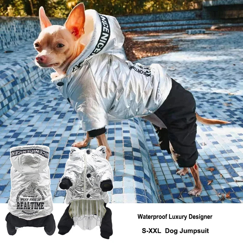 Manteau Imperméable Chien Combinaison Argentée Chihuahua