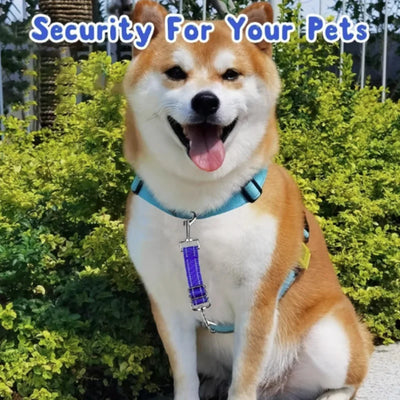 Collier Chien Réfléchissant Sécurité Clip 360°