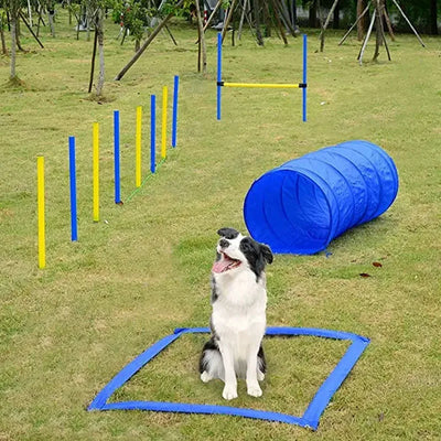 Tunnel d'Agility Pliable pour Chien 180 et 300 cm
