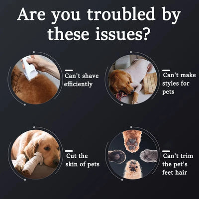Tondeuse de Toilettage pour Chien 2 en 1 Étanche IPX7