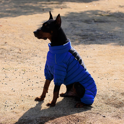 Manteau Doudoune Coton Gros Chien Hiver Coupe-Vent