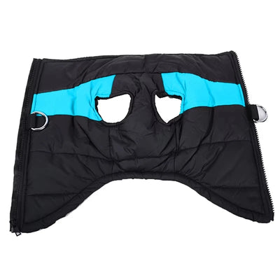 Manteau Automne Hiver Imperméable Chien Labrador