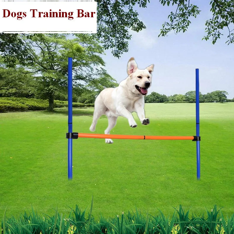 Haie d'Agility pour Chien Barre de Saut 110 cm Démontable