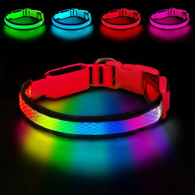 Collier LED Rechargeable Nylon Doux pour Chien