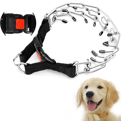 Collier à Picots Acier Chromé Chien Boucle Rapide Réglable