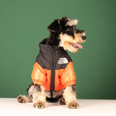 Veste Coupe-Vent Hiver Chaude Gros Chien