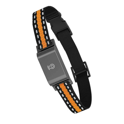 Collier GPS 4G Chien Clôture Virtuelle jusqu'à 54 kg
