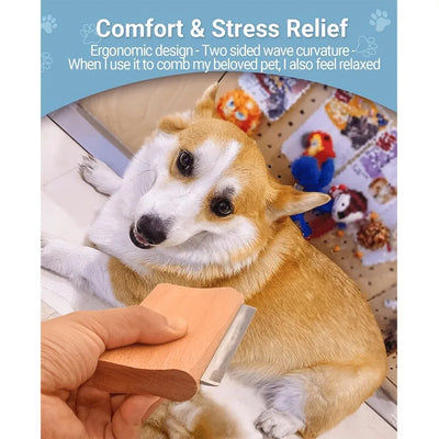 Brosse Anti-Perte de Poils pour Chien Petit et Grand Format