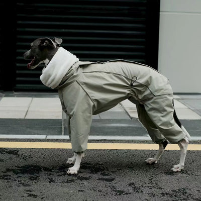 Combinaison Imperméable 4 Pattes Polaire pour Lévrier Italien